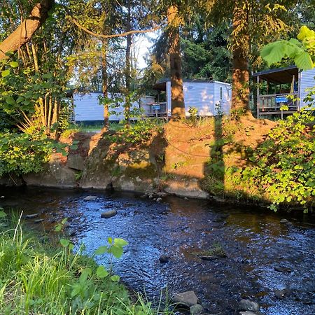 S-Chalet Camping Mit Comfort Im Schwarzwald Steinach  Eksteriør bilde