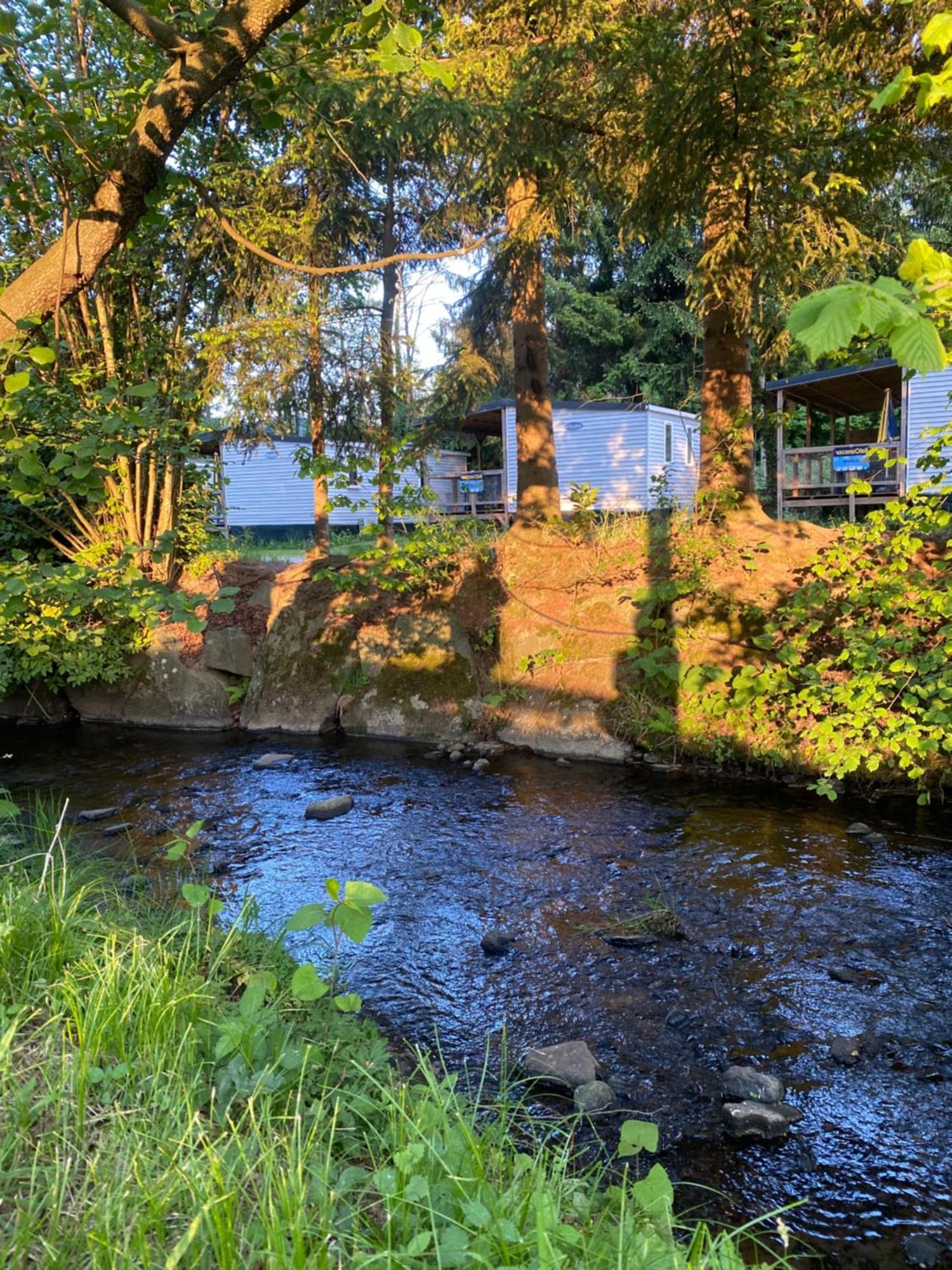 S-Chalet Camping Mit Comfort Im Schwarzwald Steinach  Eksteriør bilde
